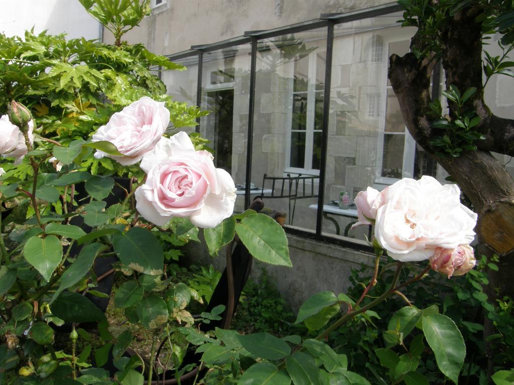 La Maison Douce Saint-Martin-de-Ré Zewnętrze zdjęcie